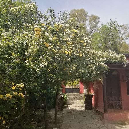 Eco Moyano Posada Gaucin Bagian luar foto