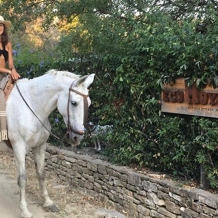 Eco Moyano Posada Gaucin Bagian luar foto