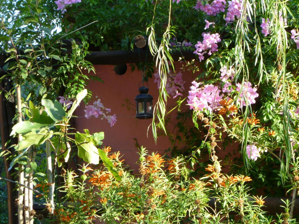 Eco Moyano Posada Gaucin Bagian luar foto