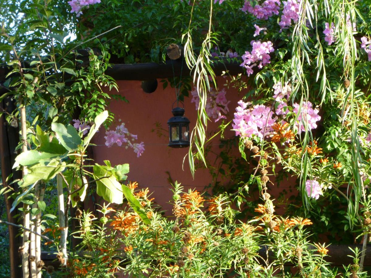 Eco Moyano Posada Villa Gaucin Bagian luar foto