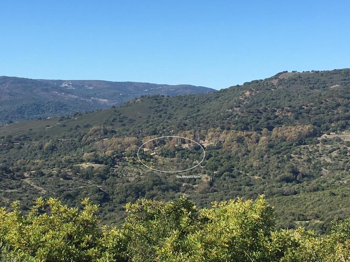 Eco Moyano Posada Villa Gaucin Bagian luar foto