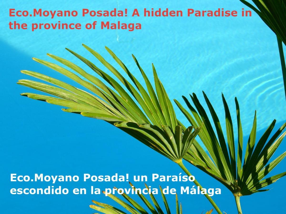 Eco Moyano Posada Gaucin Bagian luar foto