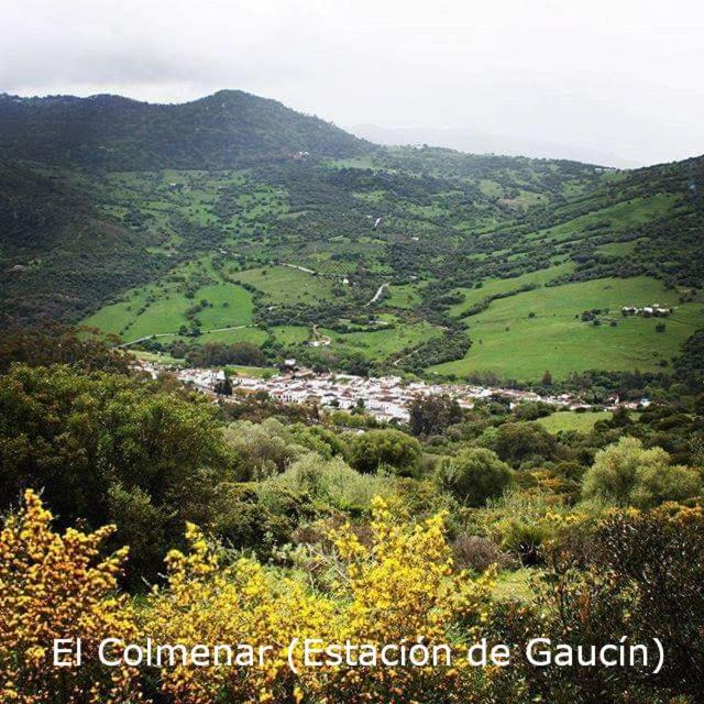 Eco Moyano Posada Gaucin Bagian luar foto