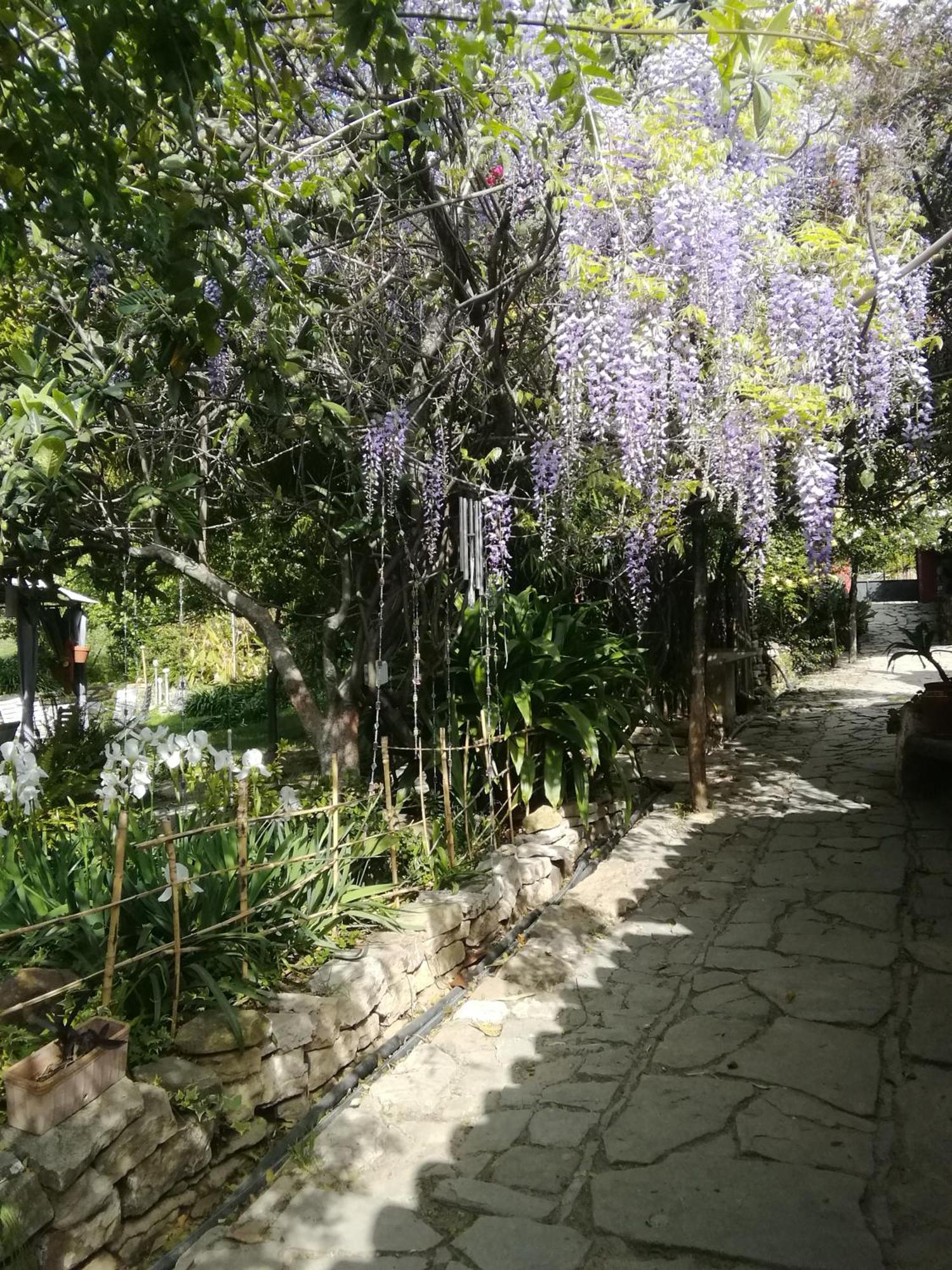 Eco Moyano Posada Gaucin Bagian luar foto