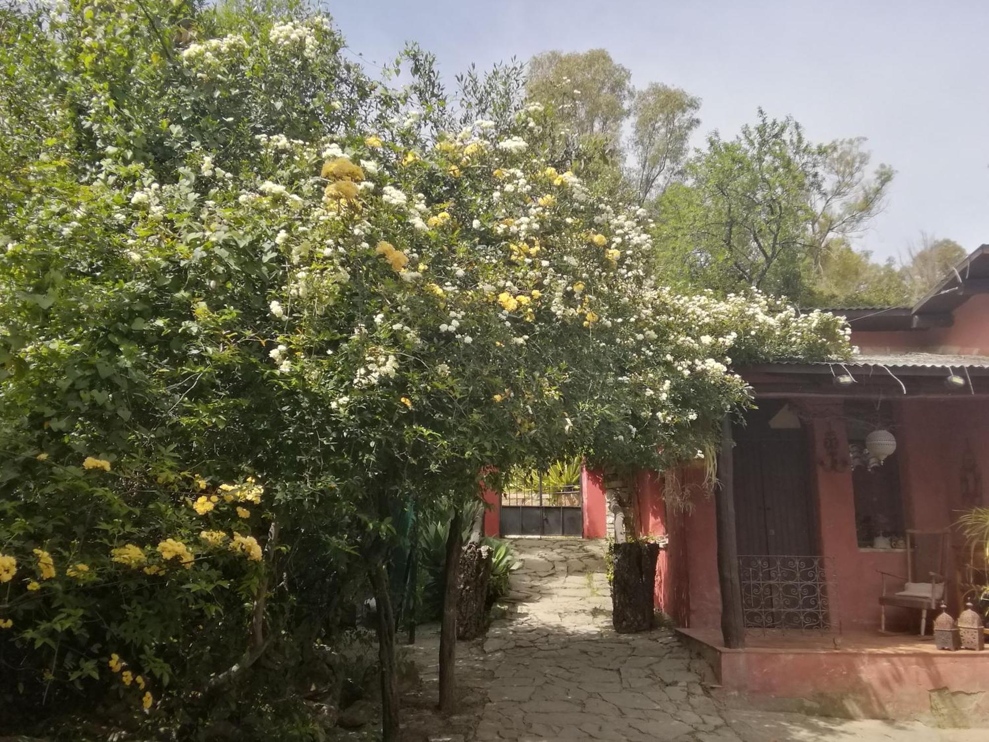 Eco Moyano Posada Gaucin Bagian luar foto