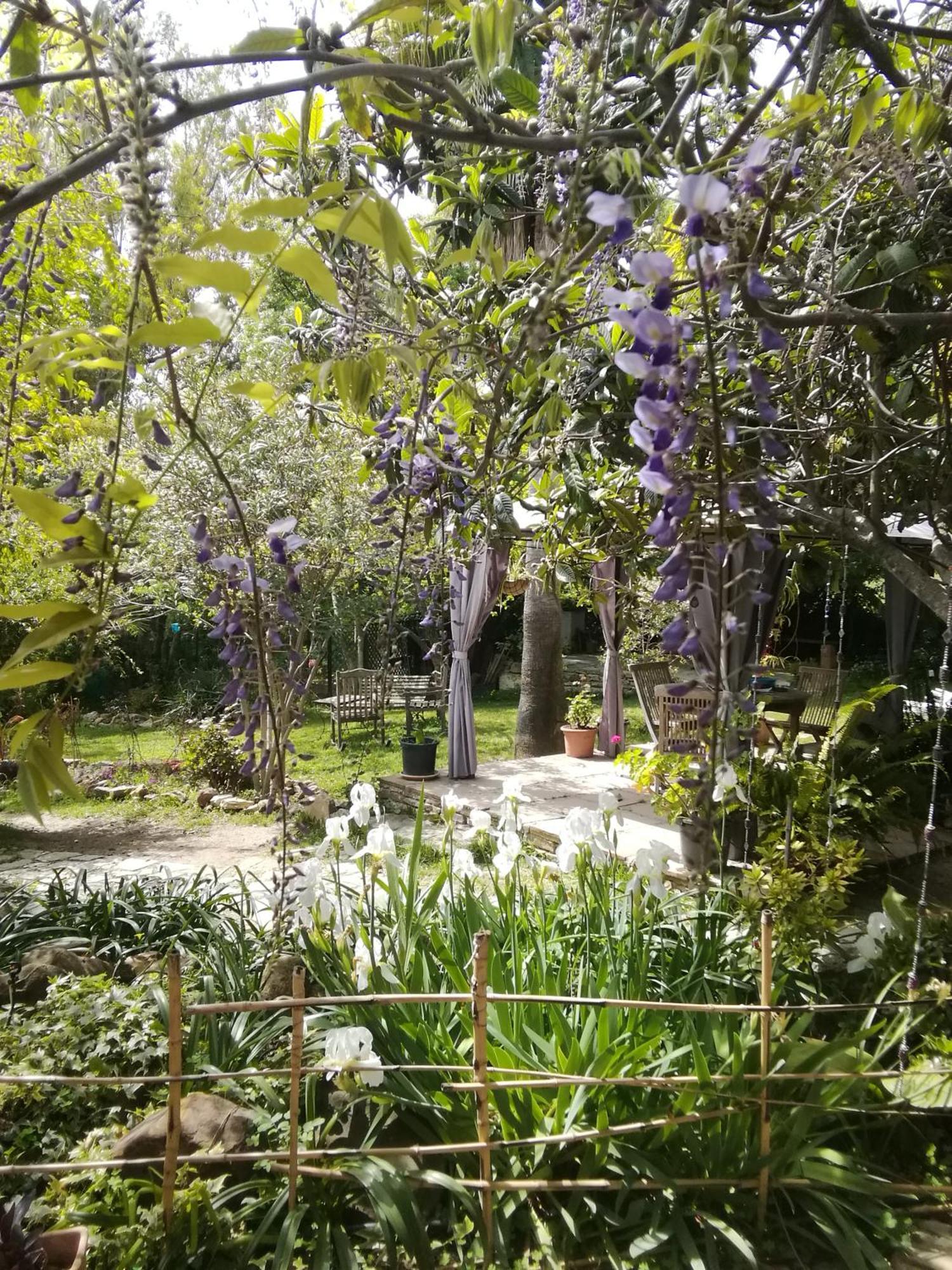 Eco Moyano Posada Gaucin Bagian luar foto