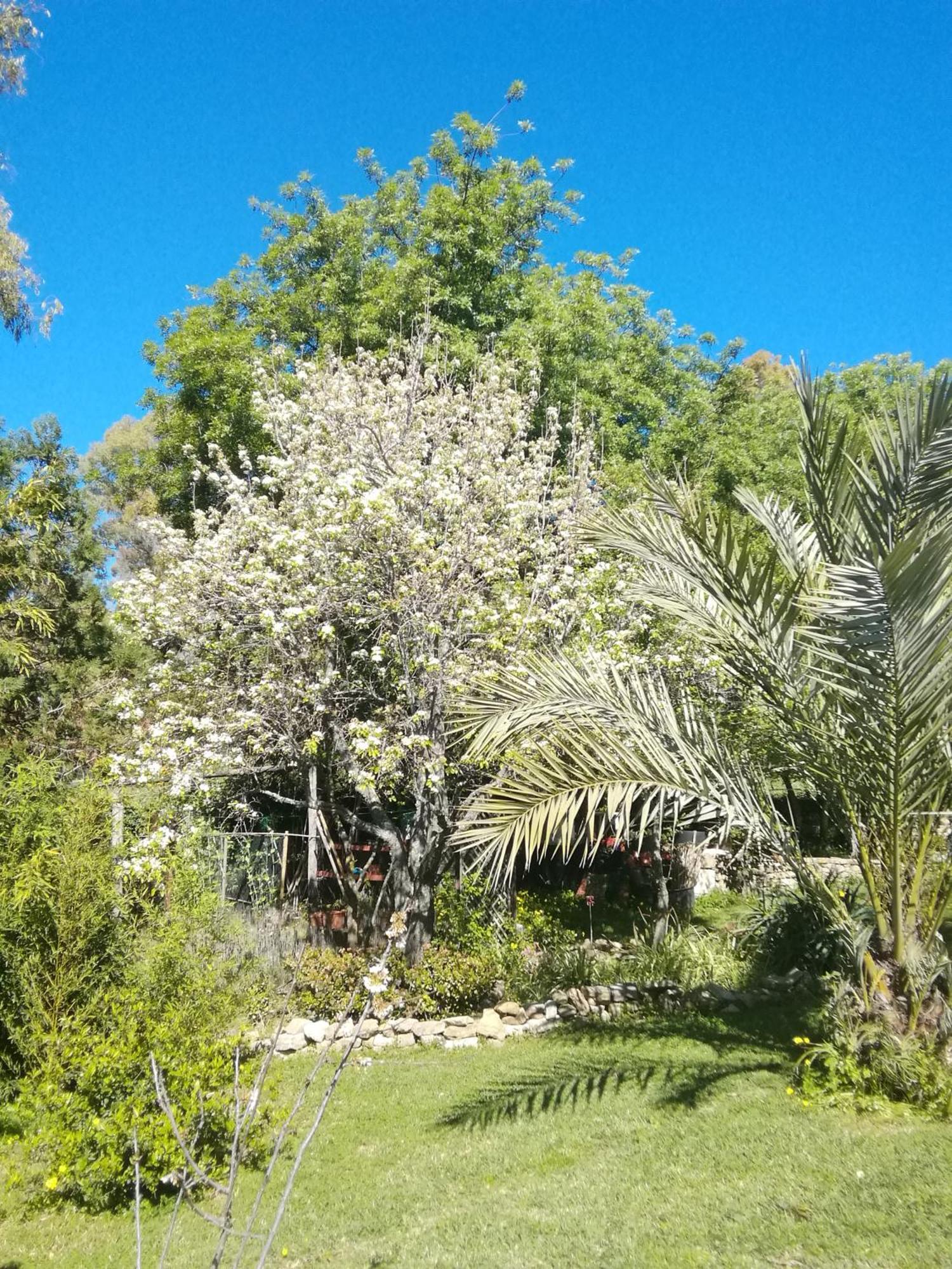 Eco Moyano Posada Villa Gaucin Bagian luar foto