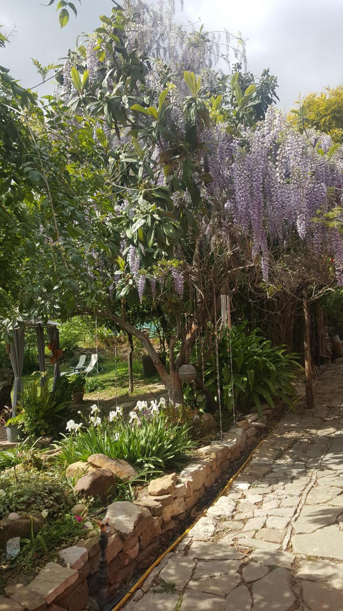 Eco Moyano Posada Gaucin Bagian luar foto